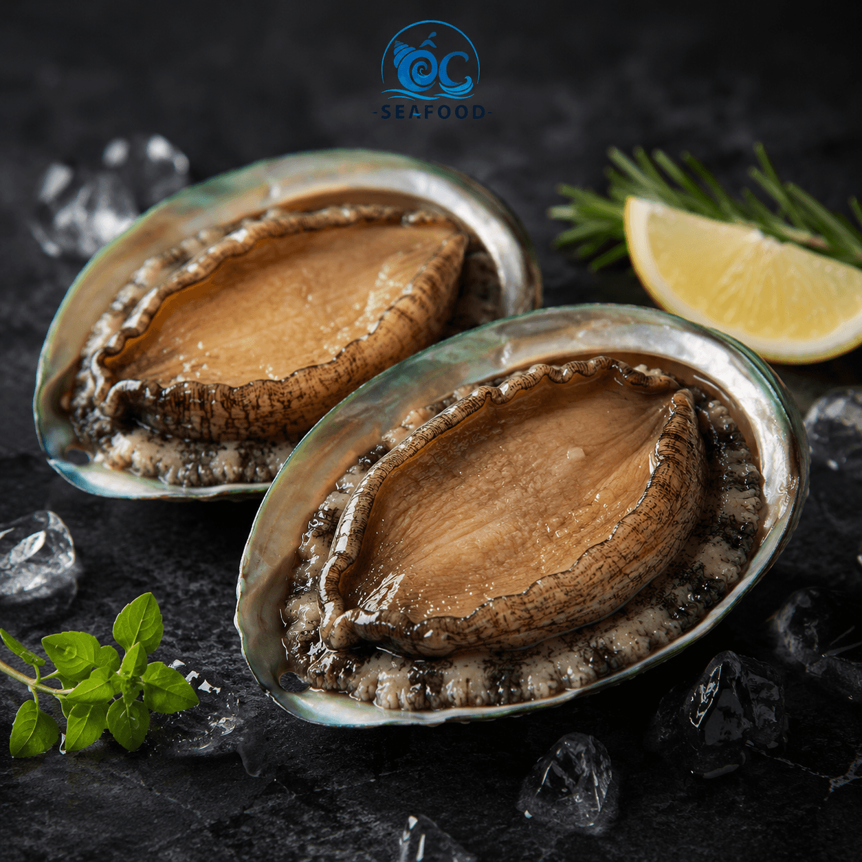 Bào Ngư Úc Ngọc Bích (Xanh Ngọc)